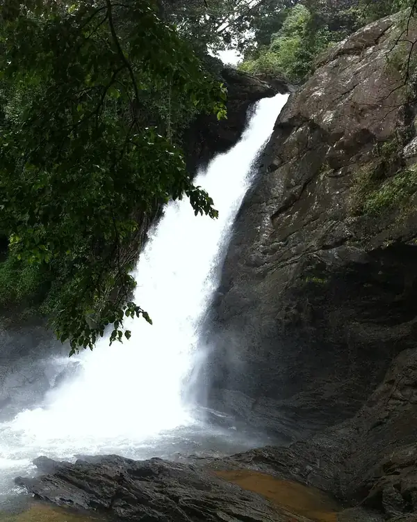 Wayanad